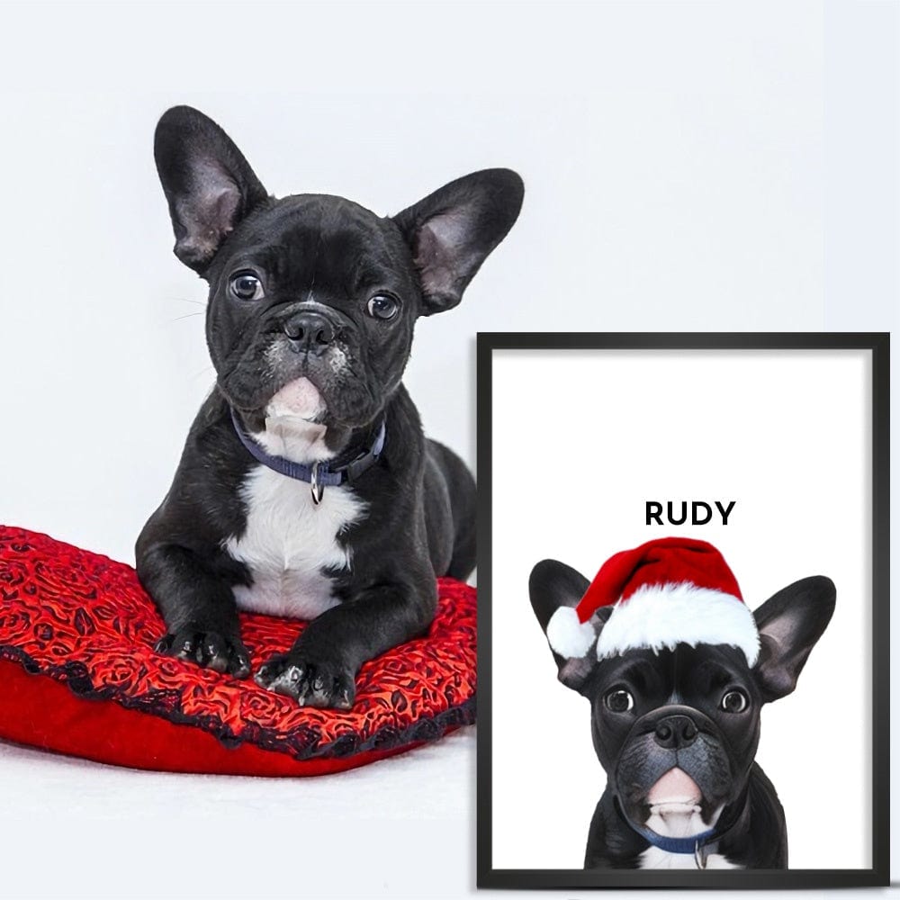 Retratos navideños de mascotas