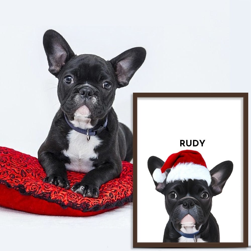 Ritratti di Natale per animali domestici