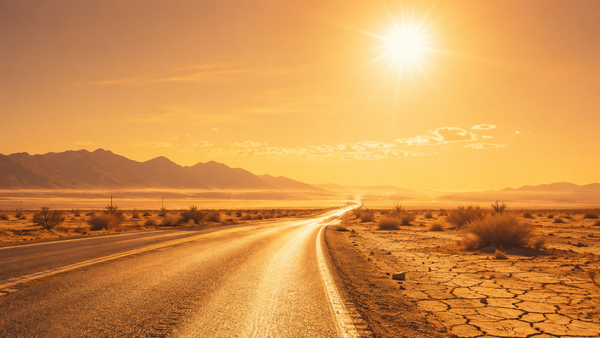 Extreme Heat Watch: How to Reduce the Heat This Summer