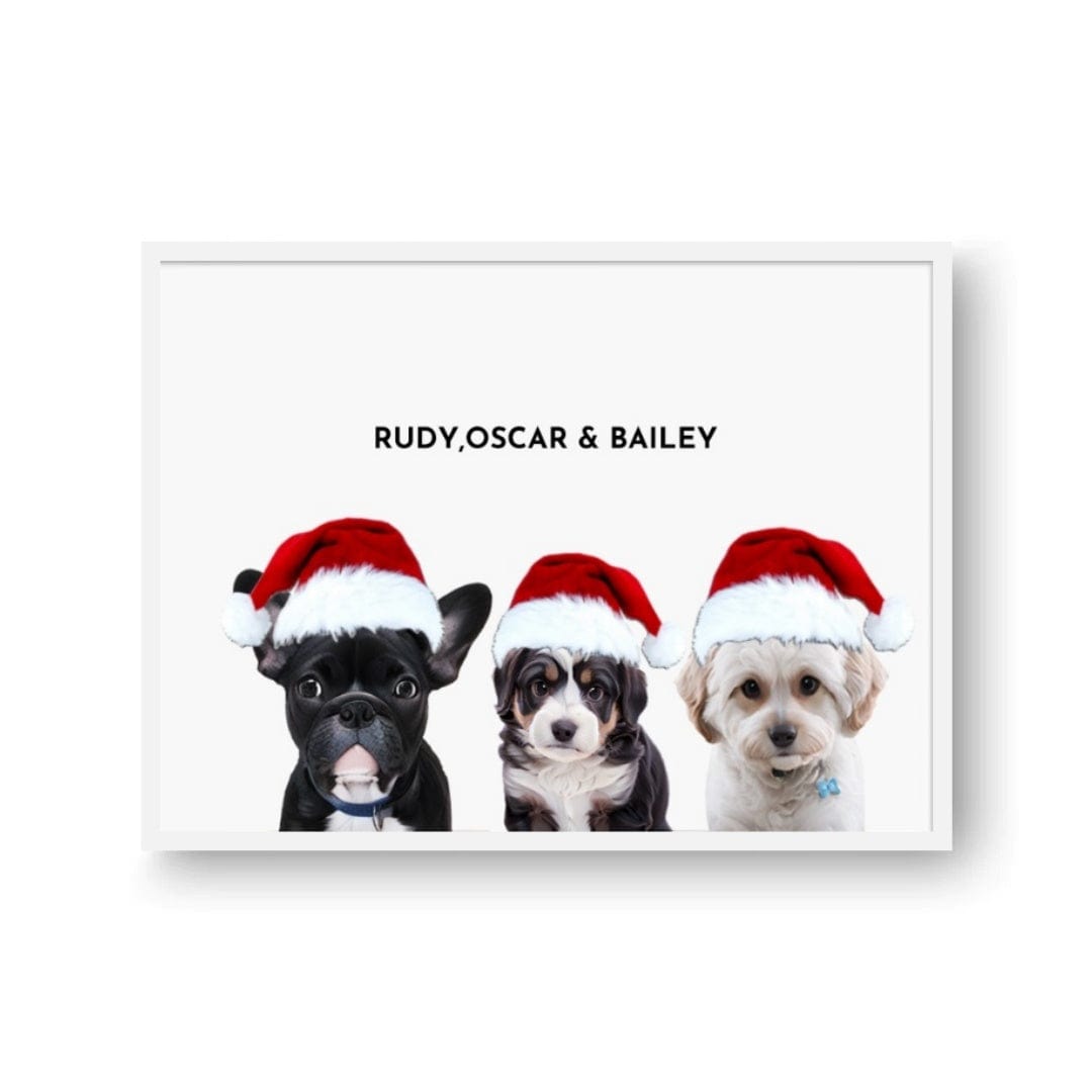 Three Pet Christmas Portraits